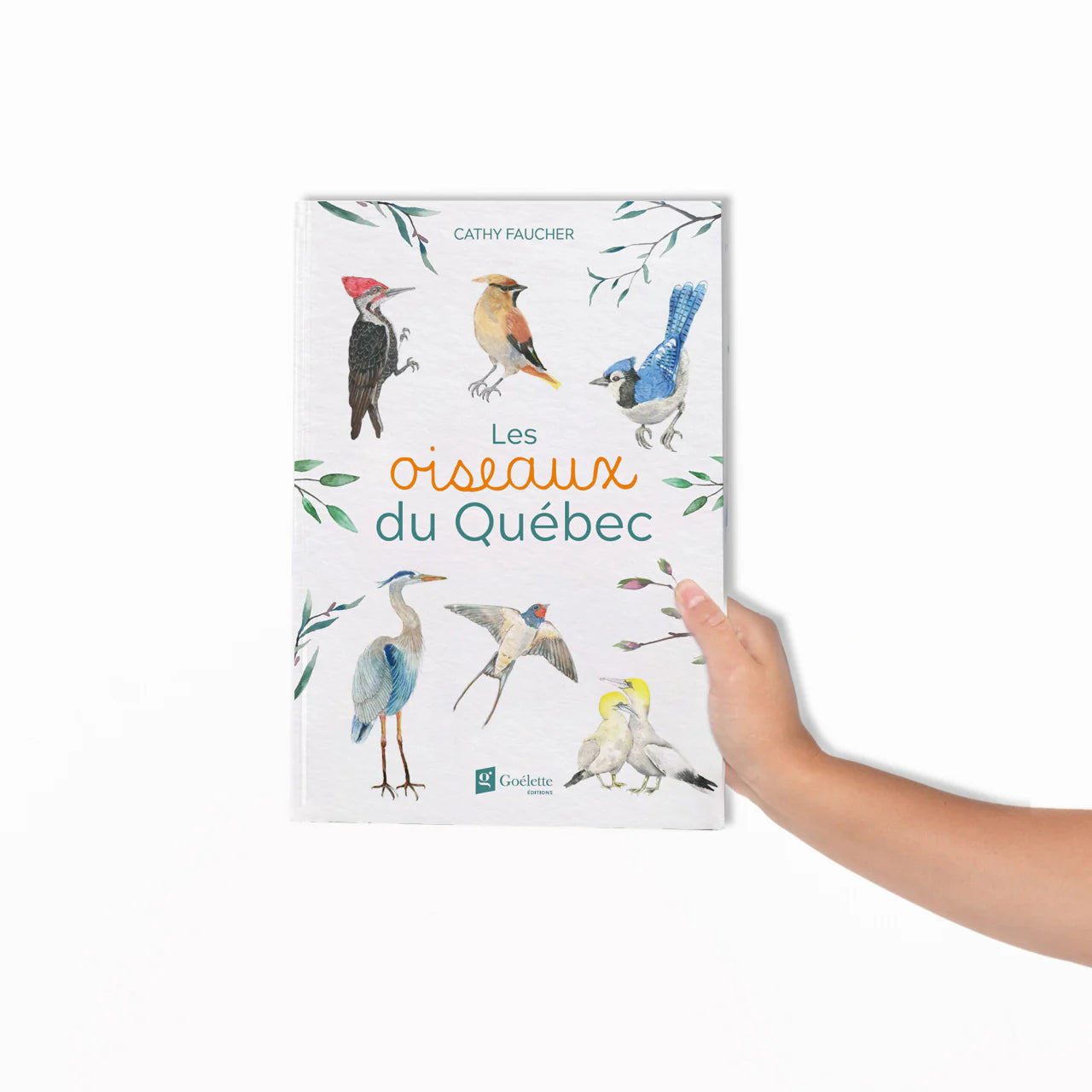 Livre Les oiseaux du Québec