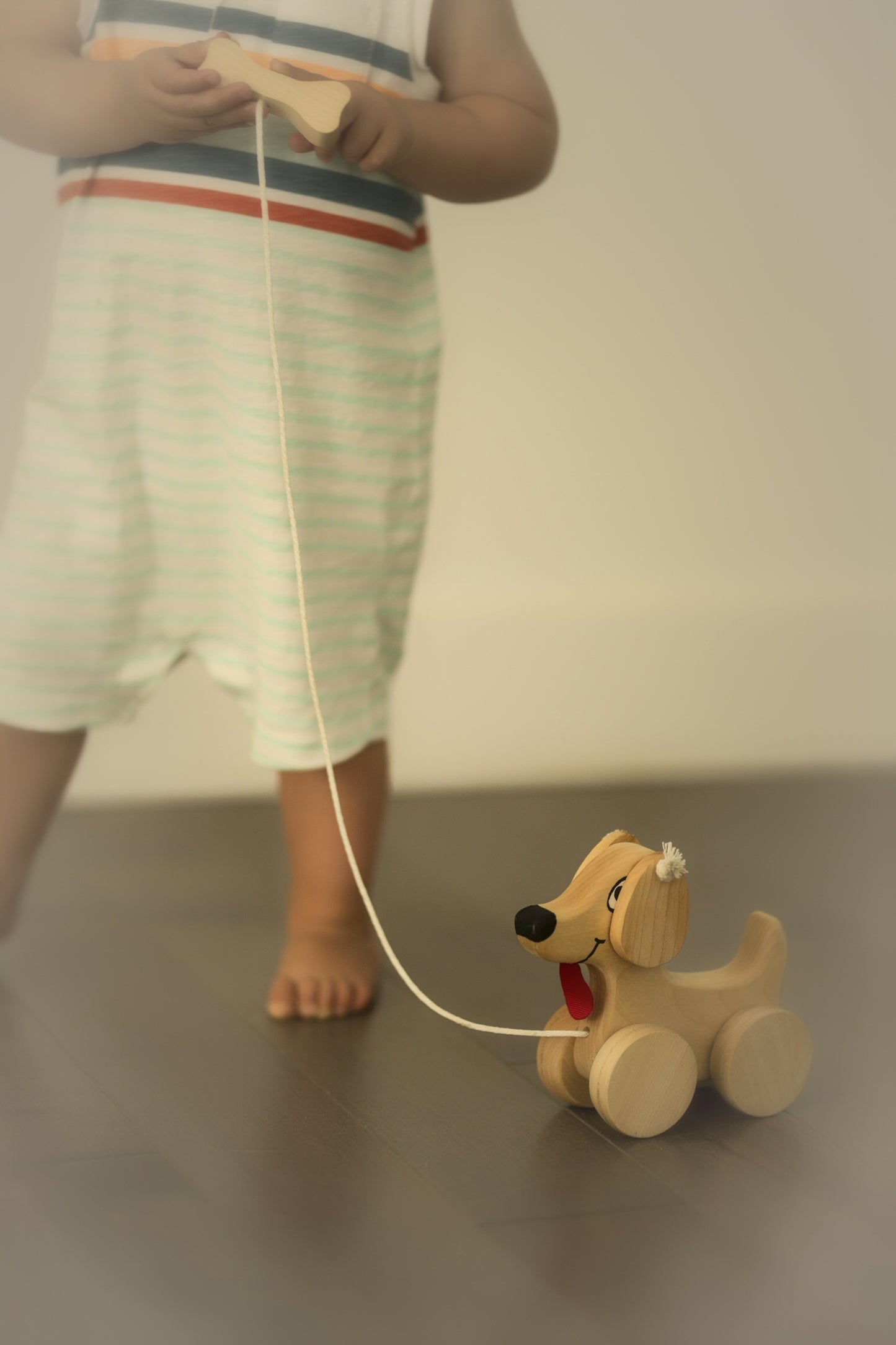 Chien à traîner