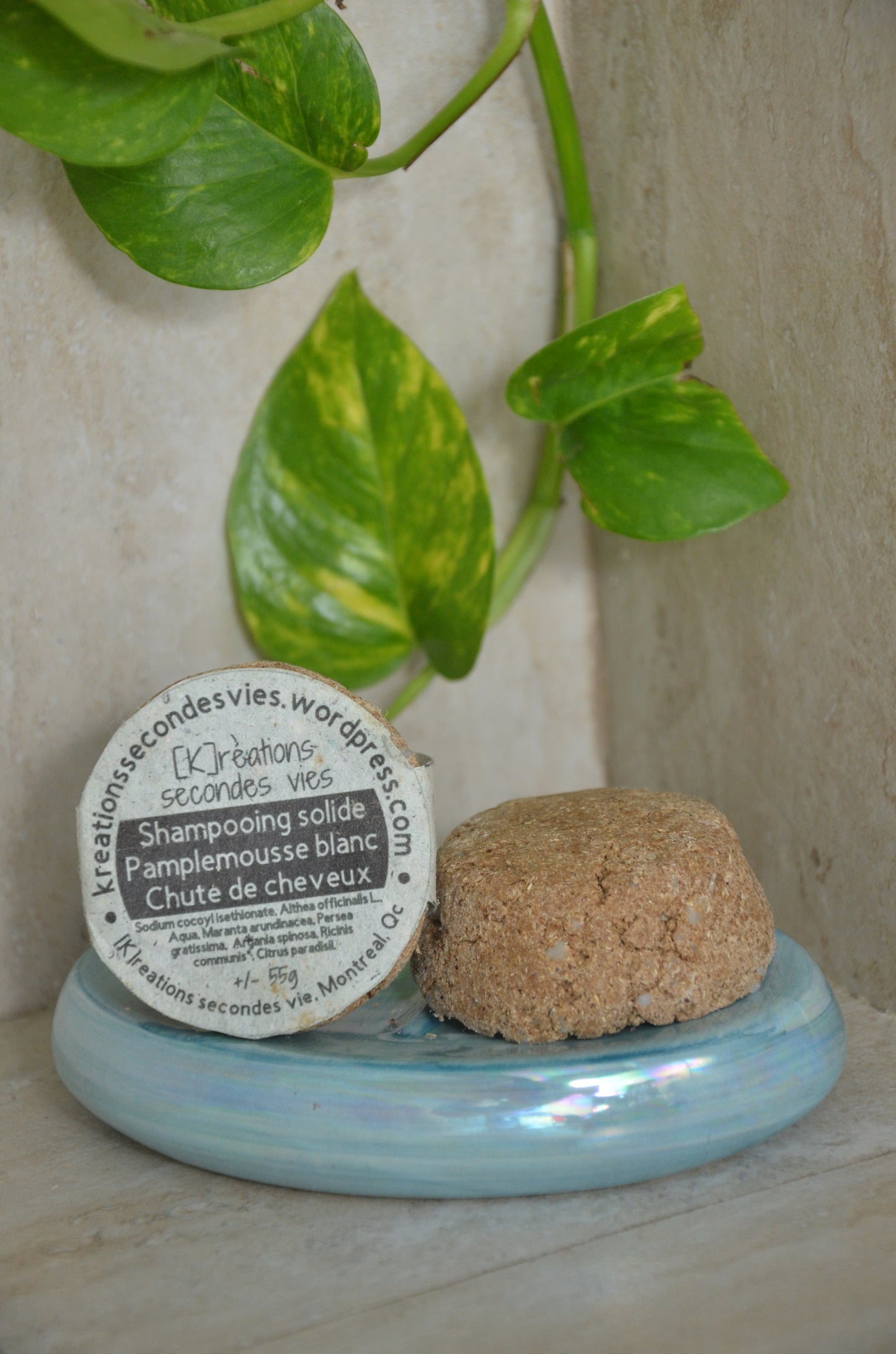 Shampooing solide - Pamplepousse