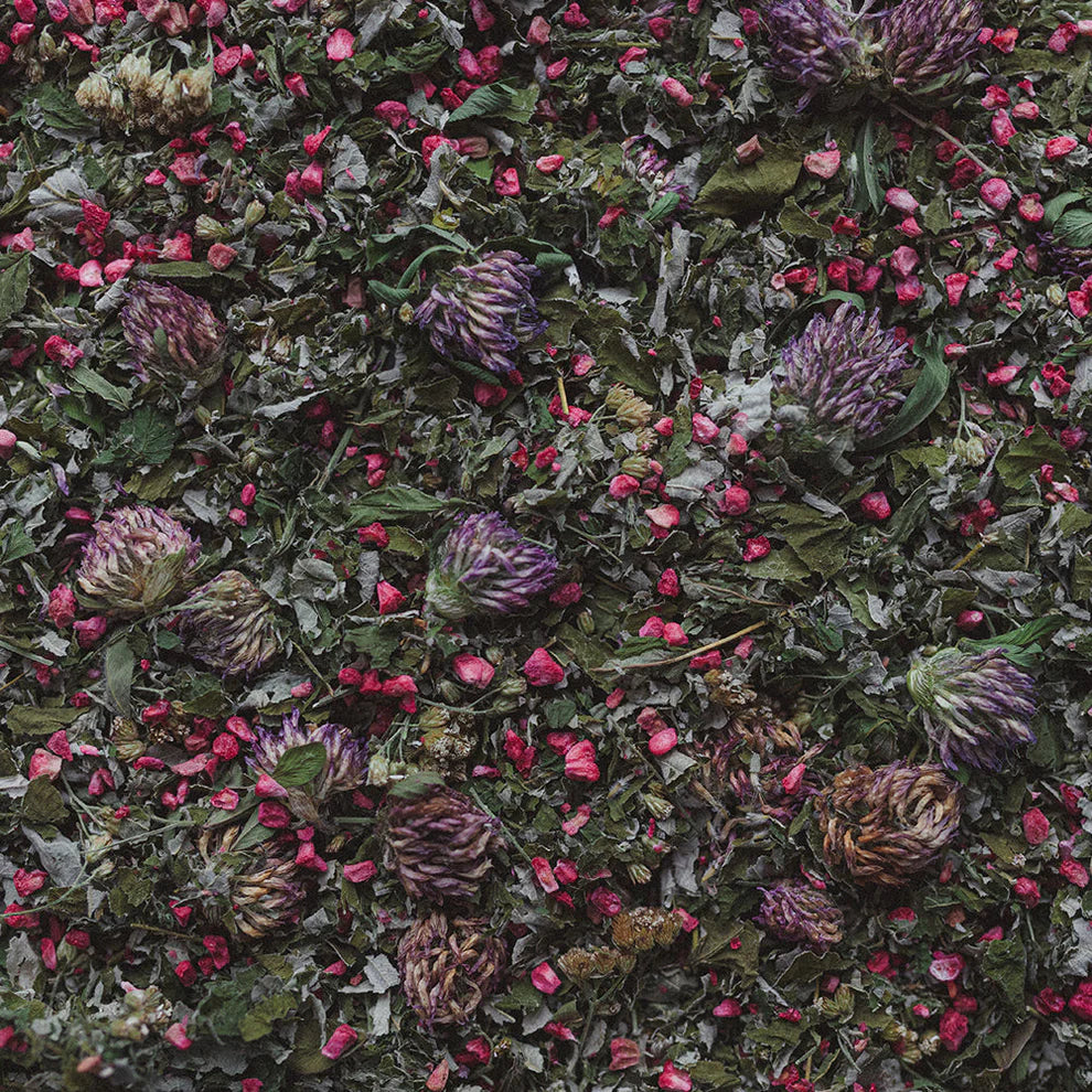 Tisane Courage - Cycle & hormones