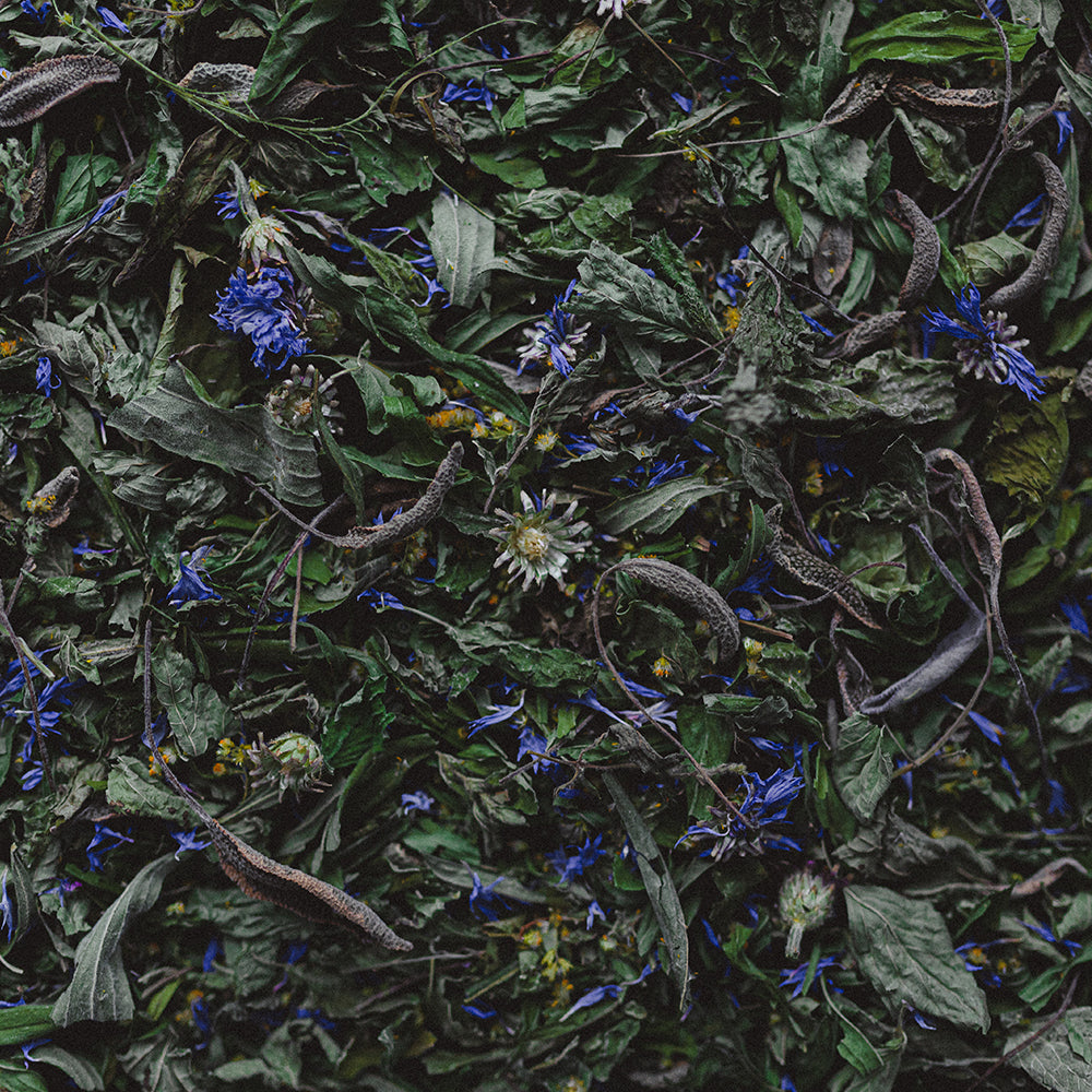 Tisane Équilibre - Fraîcheur & soulagement