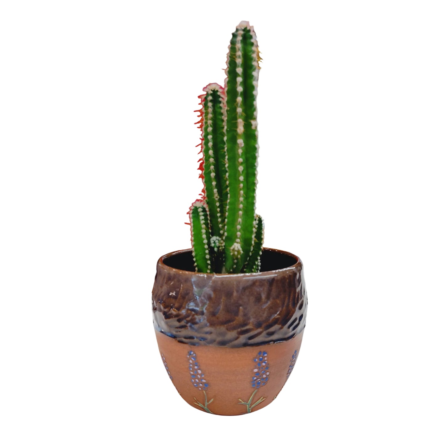 Cache-pot petites fleurs bleues