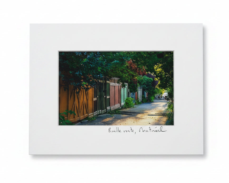 Illustration petite - Jazz K