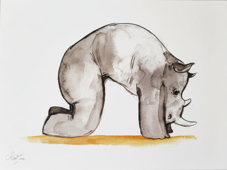 Rhinocéros