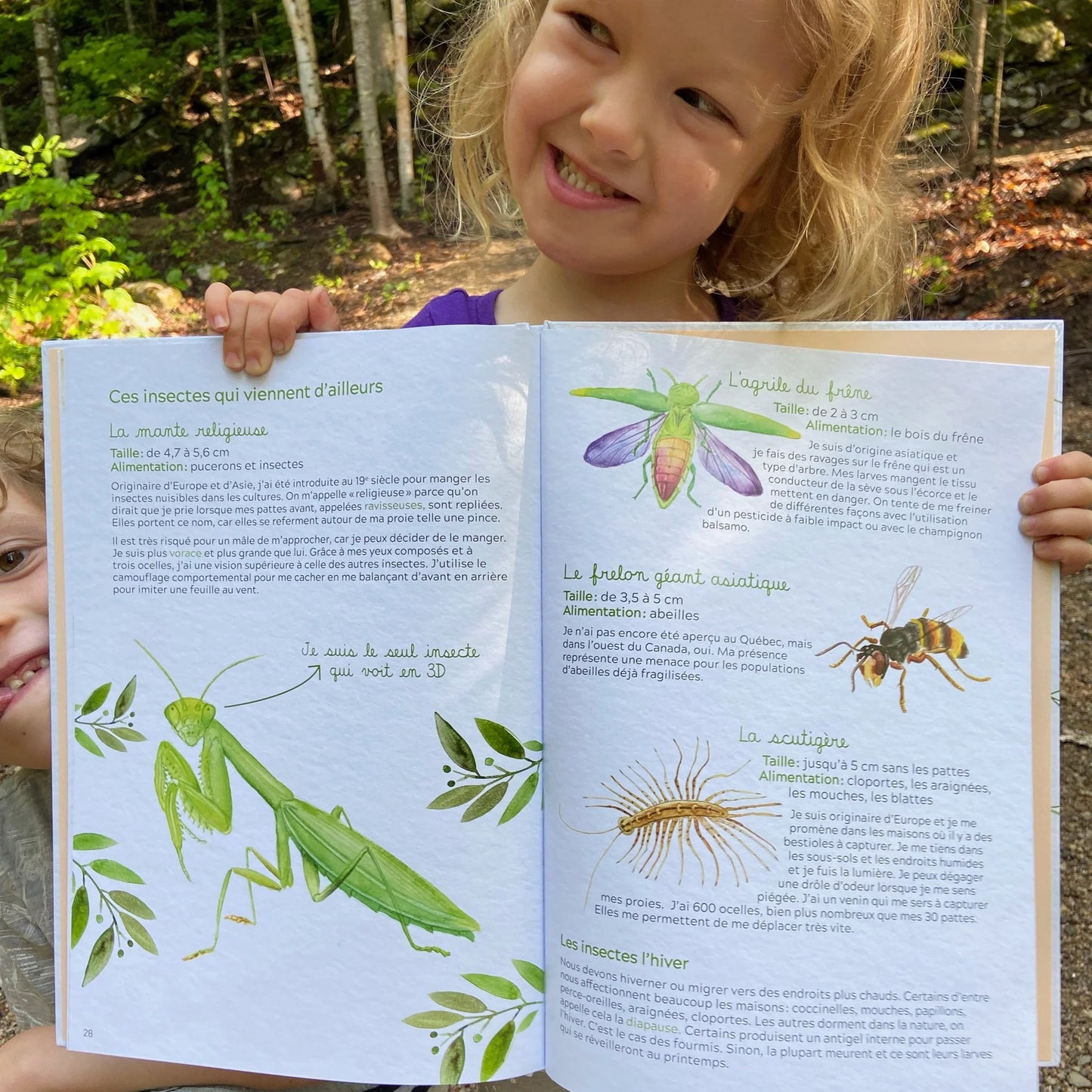 Livre Les petites bestioles du Québec
