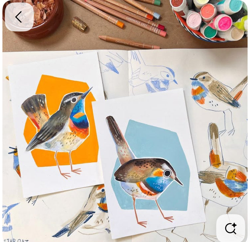 Oiseaux à l'aquarelle | 16 octobre