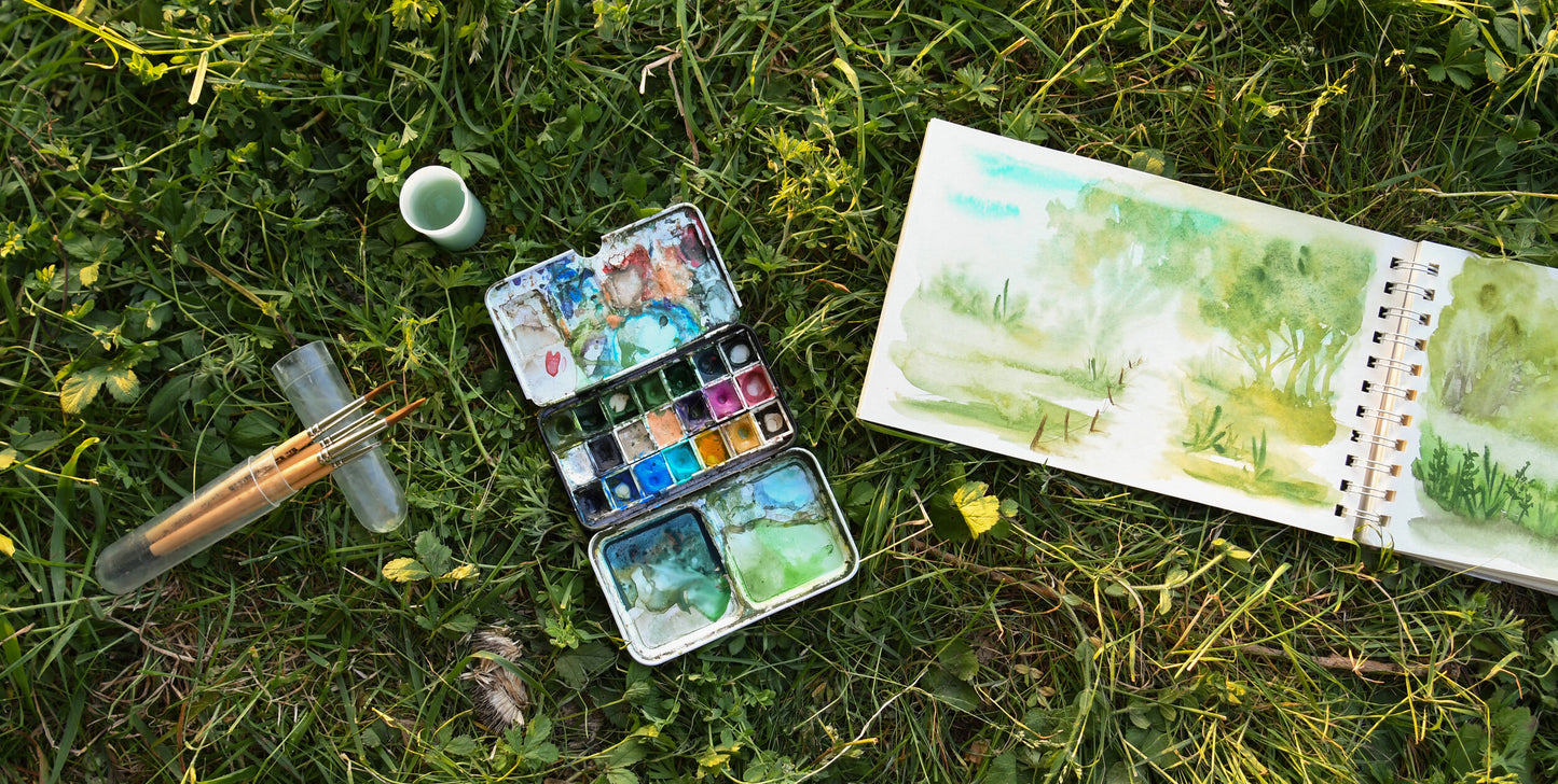 Oiseaux à l'aquarelle | 16 octobre