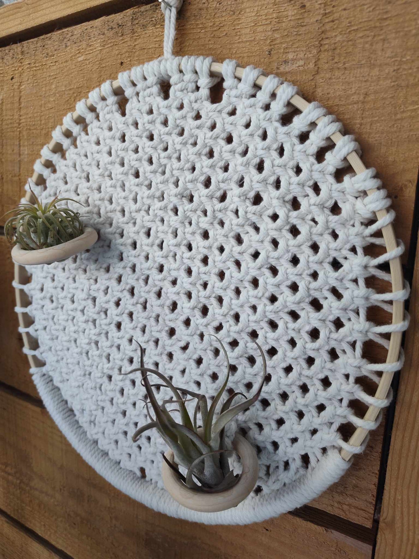 Jardinière pour plante aérienne