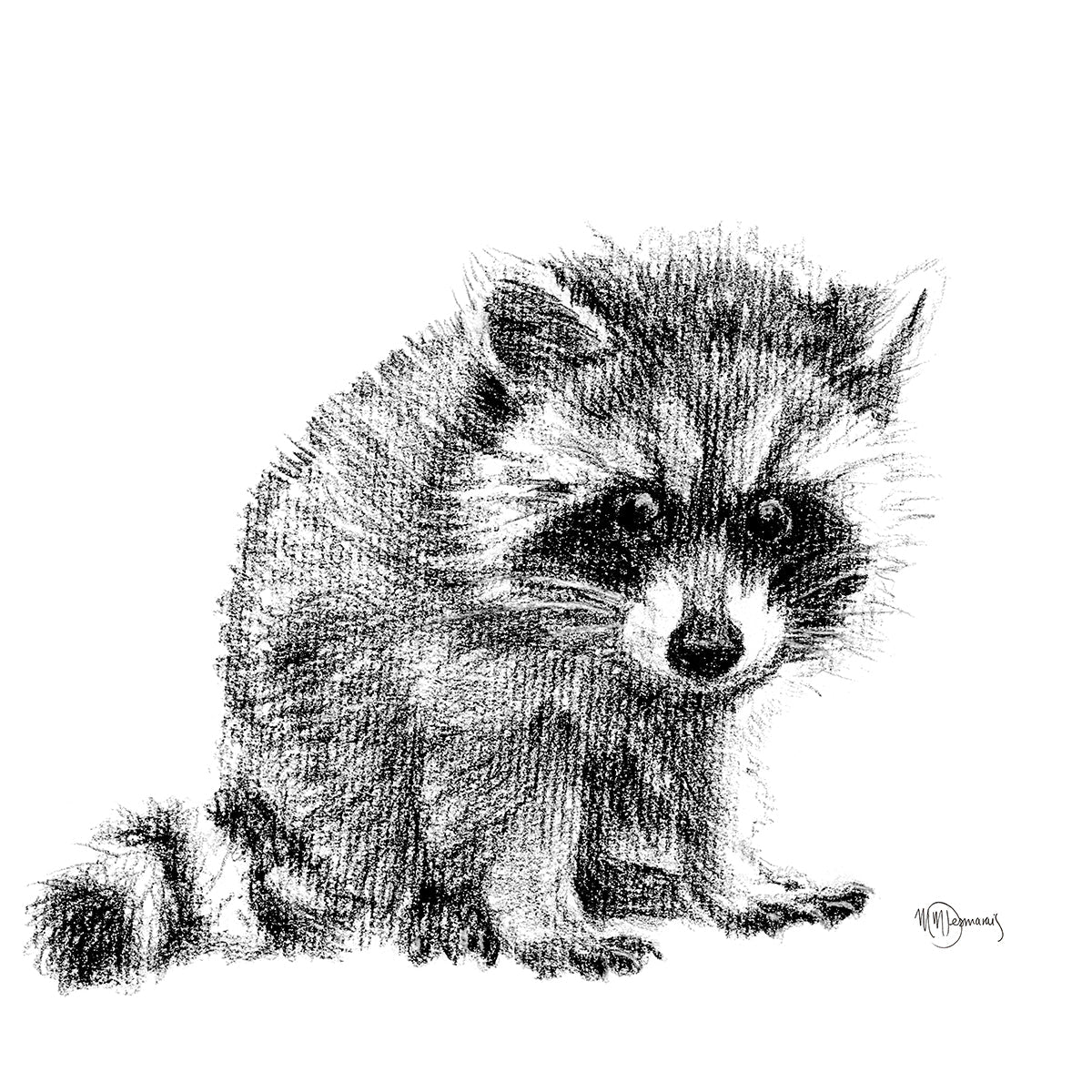 Adorable bébé raton - animaux noir et blanc