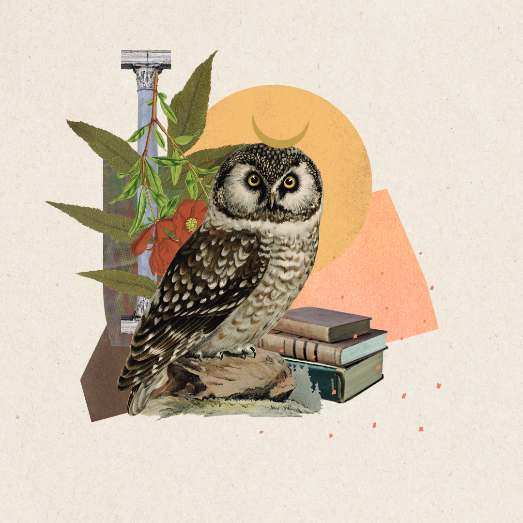 Collage - cartes oracles | Dimanche 26 octobre