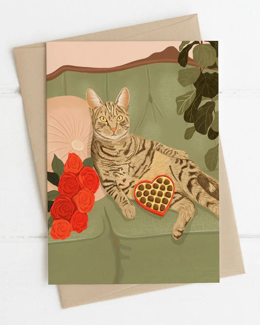 Purrfect Romance