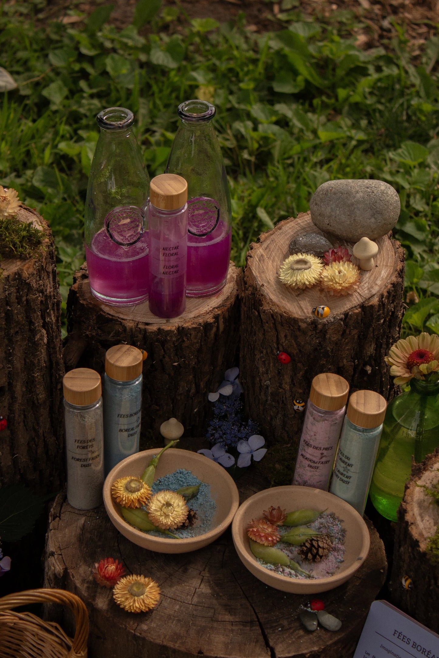 Coffret de potions magiques - Poussières de Fées