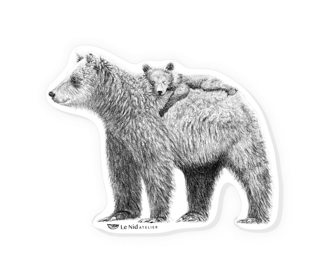 Grizzli avec ourson