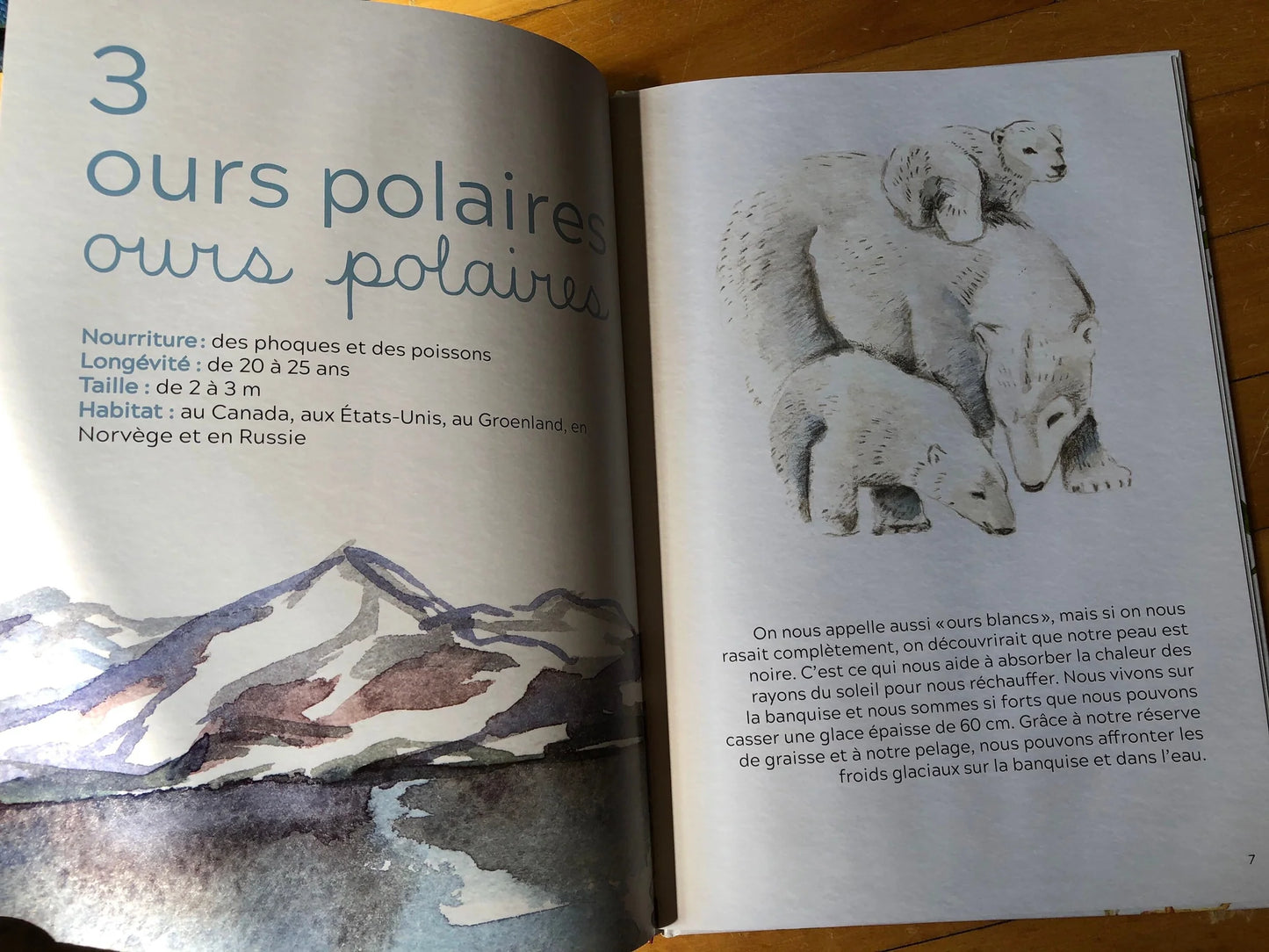 Livre Je compte avec les animaux du monde