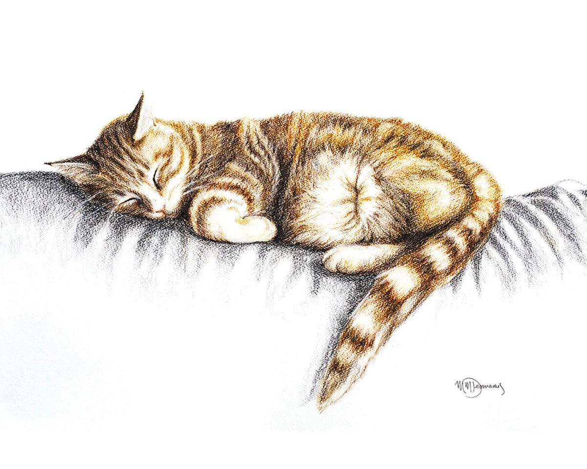 Chat endormi - couleur