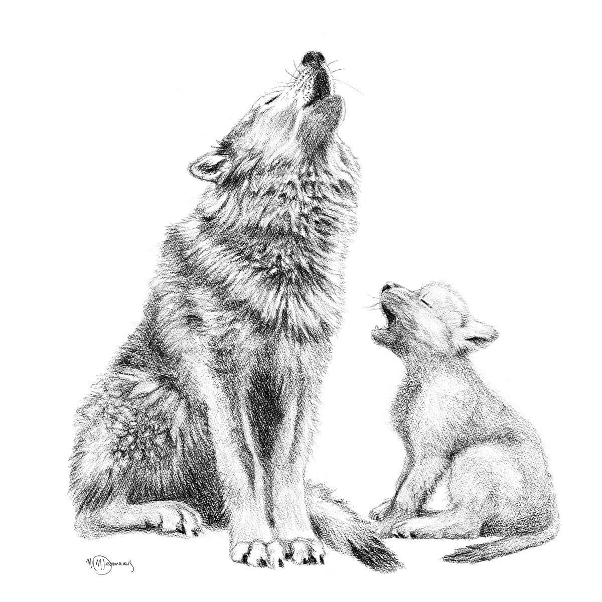Loup hurlant avec son apprenti - animaux noir et blanc