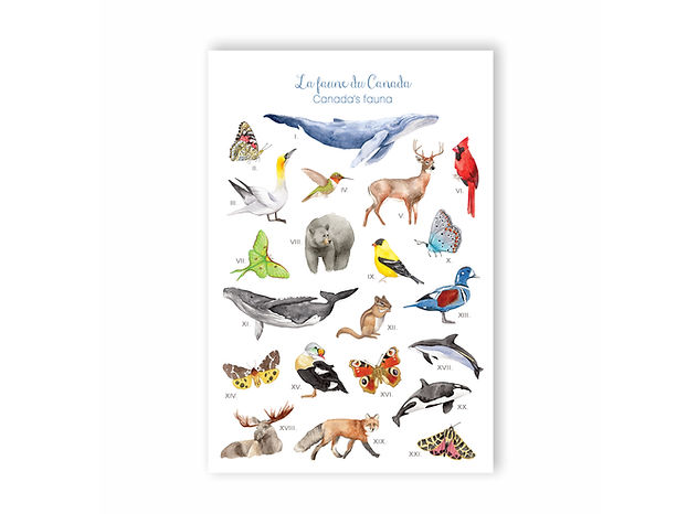 Carte postale - Hobeika