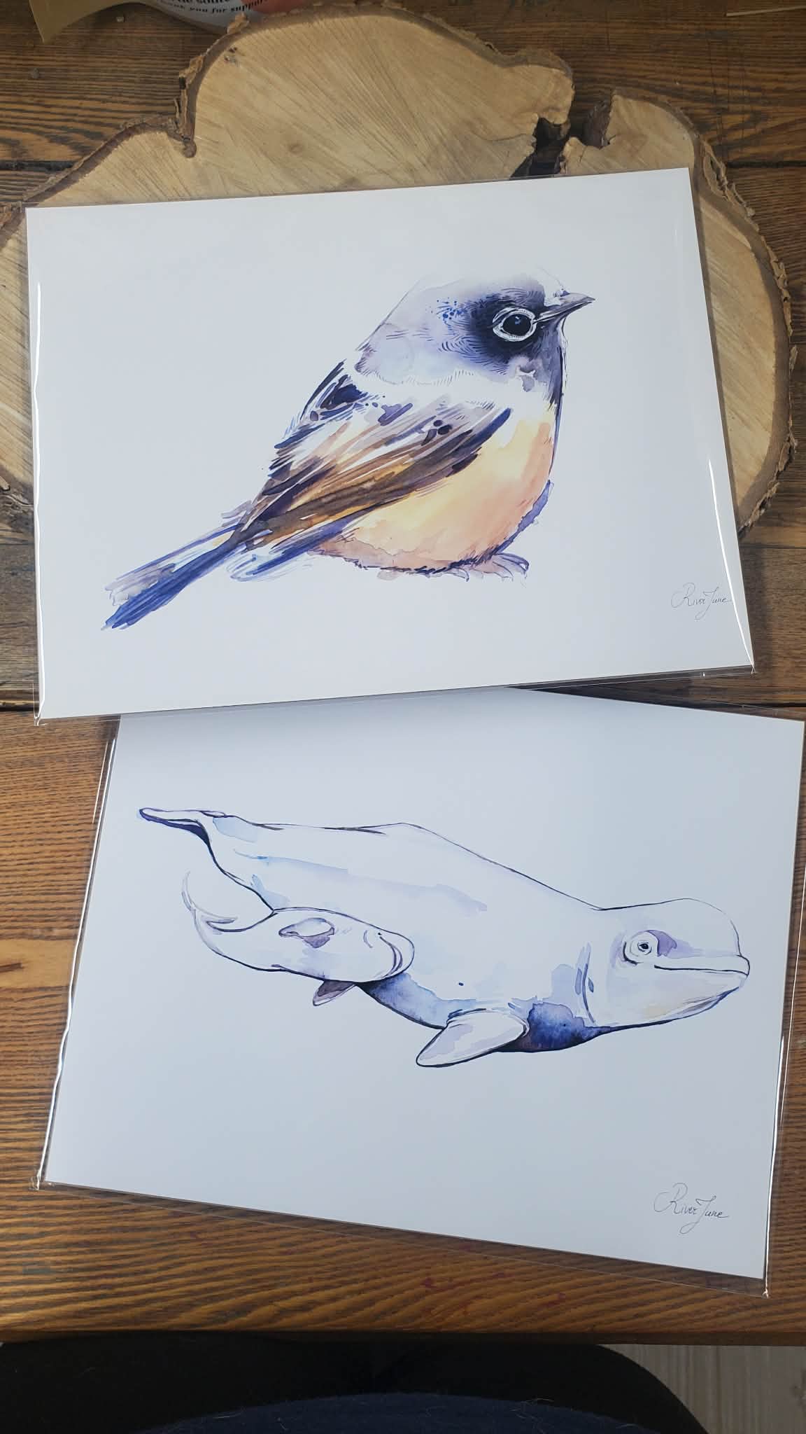 Atelier d'aquarelle | 13 mars, 18h-20h