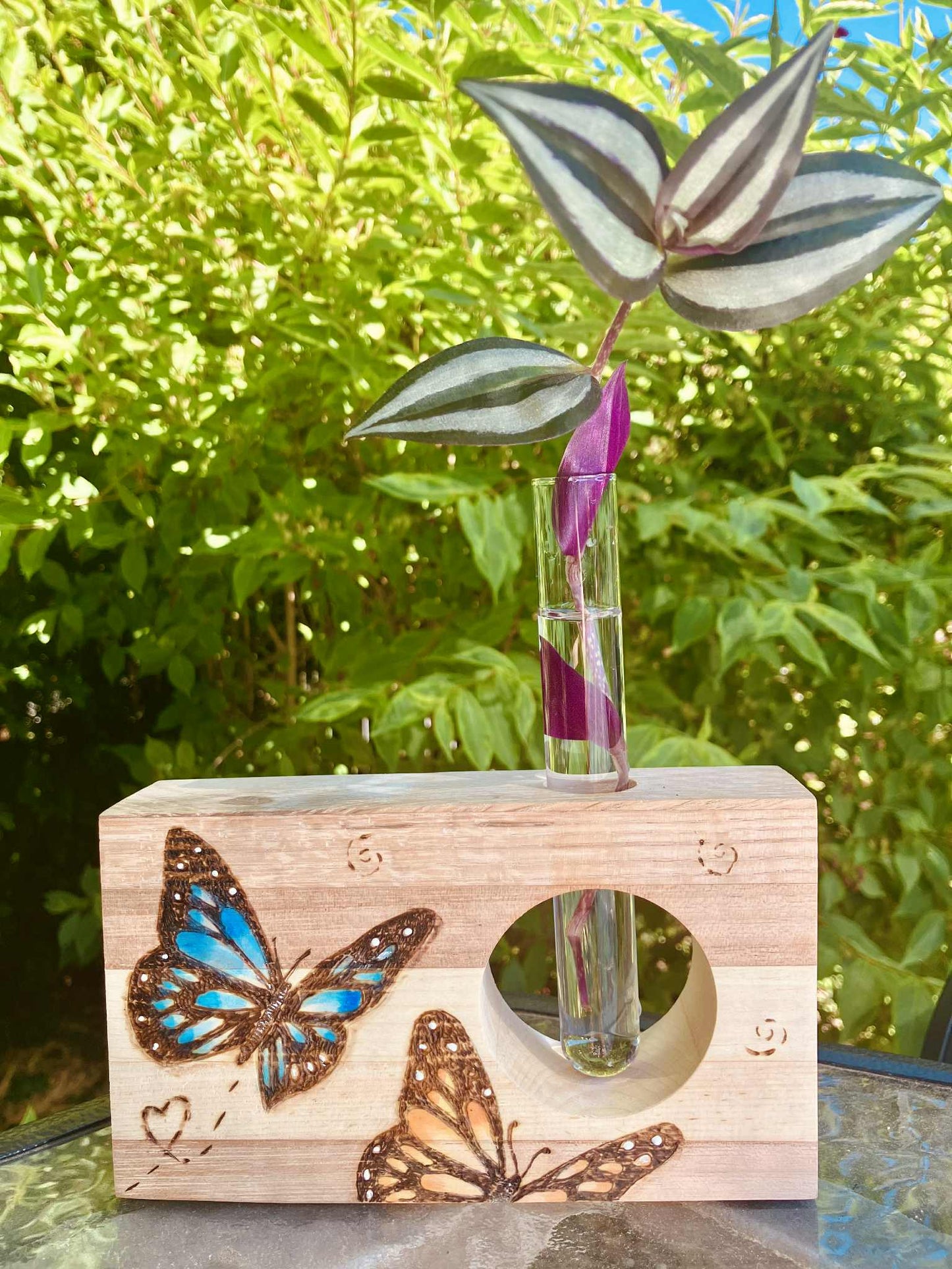 Pyrogravure sur bois : propagateur de plantes | 12 avril, 10h-13h