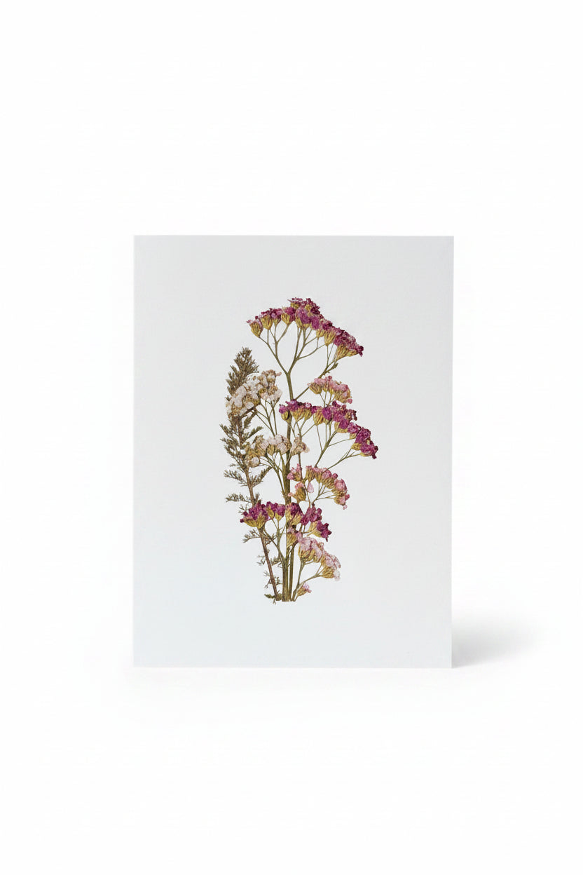 Cartes de souhaits - Nature éphémère
