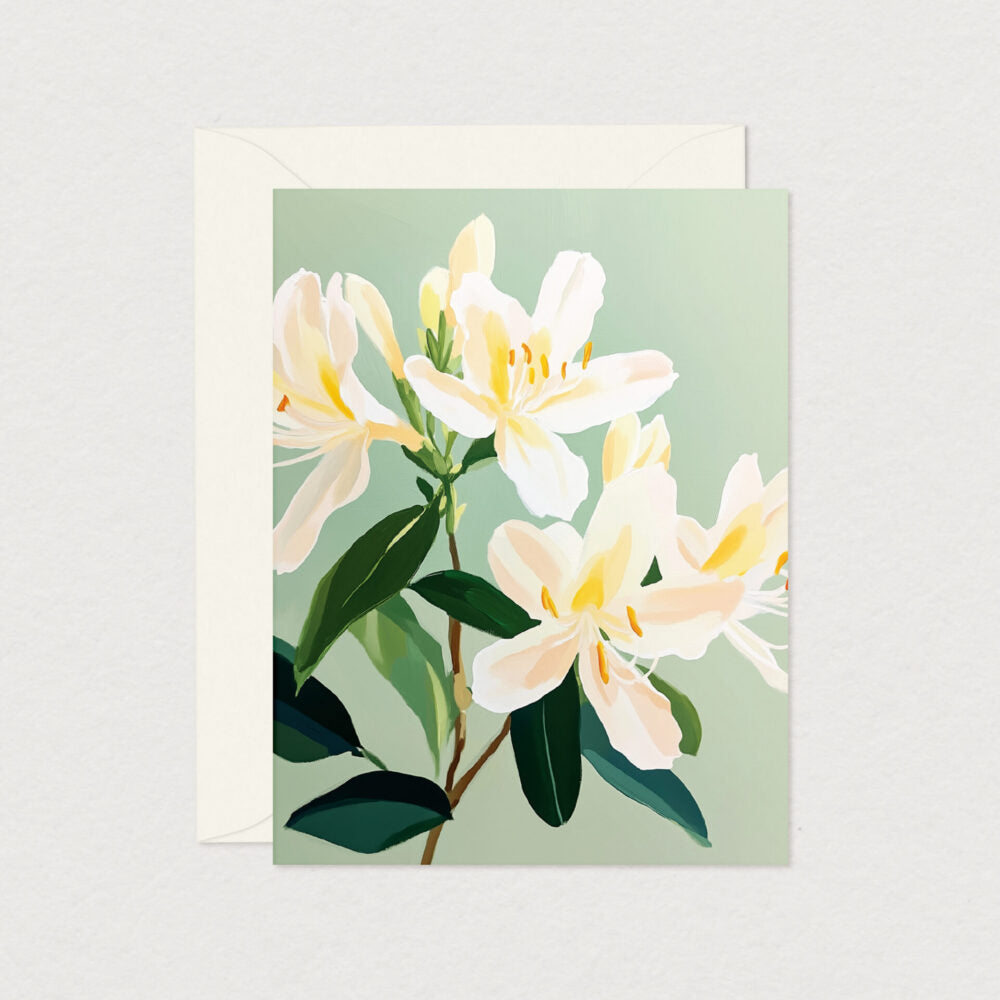 Cartes de souhaits régulières – Mimosa Design
