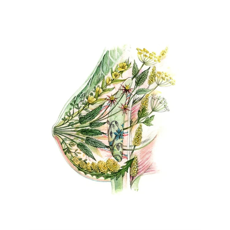 Sein fleuri