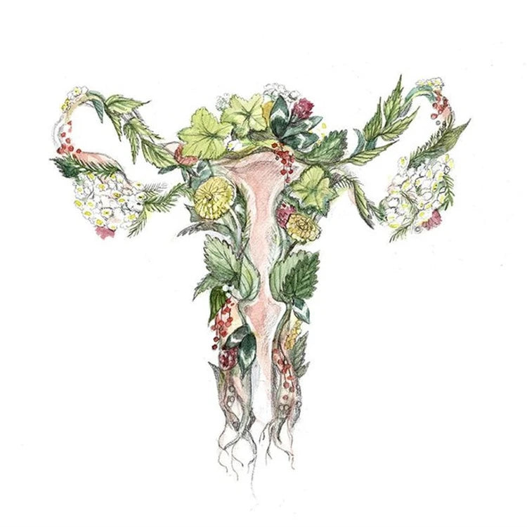 Utérus en fleur