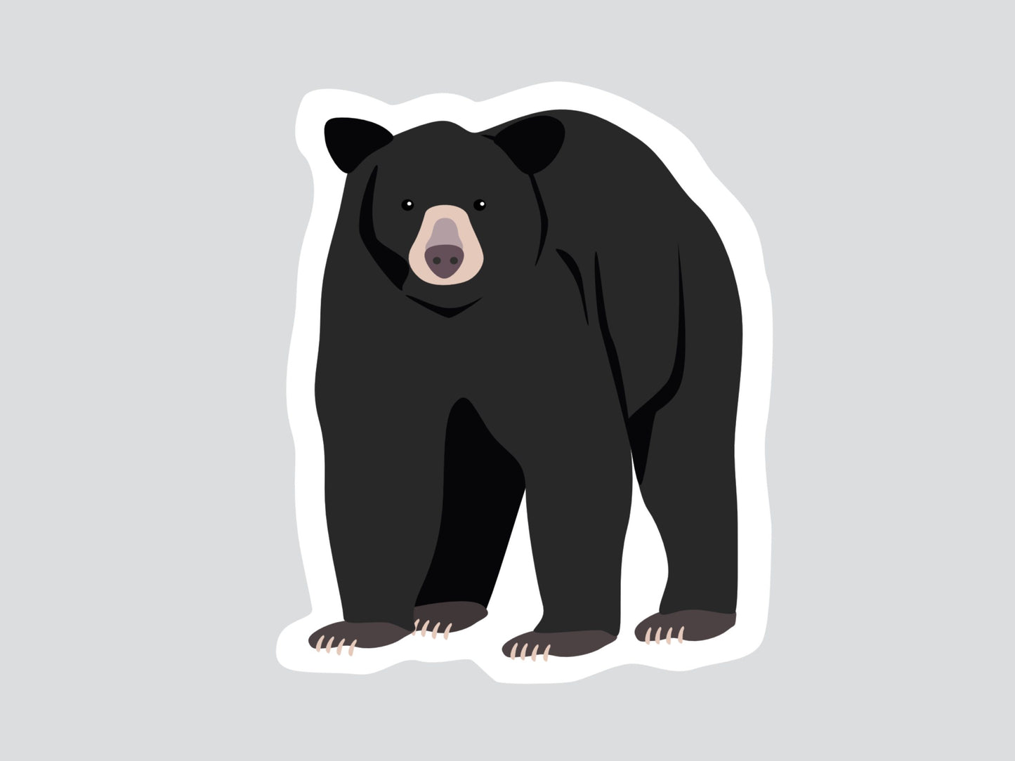 Ours noir