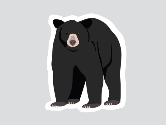 Ours noir