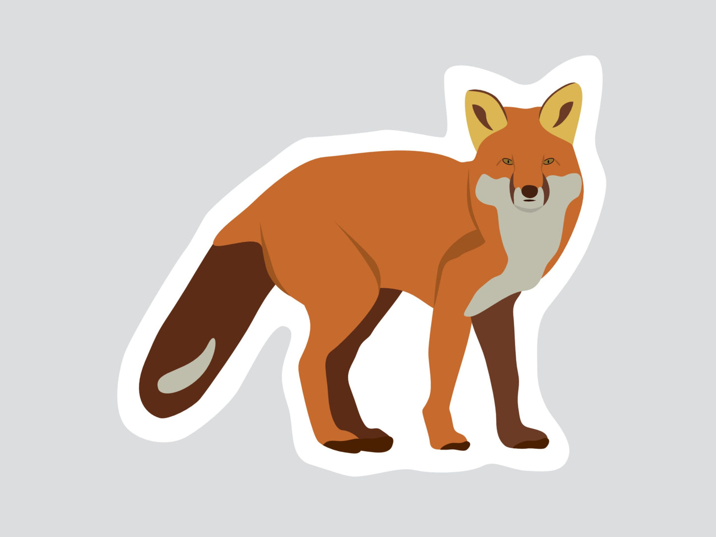 Renard roux
