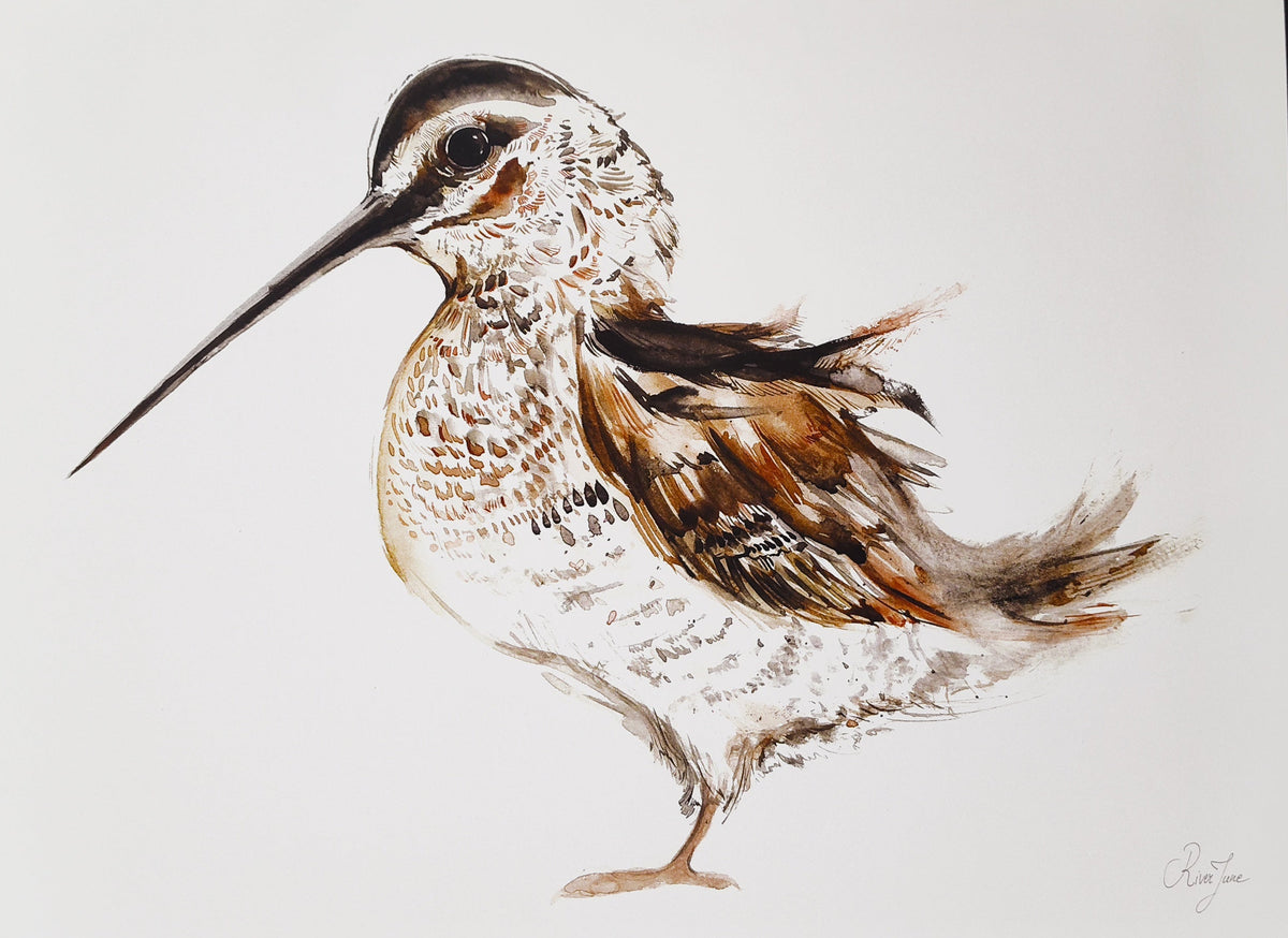 Oiseaux - 8.5 x 11 po - River June