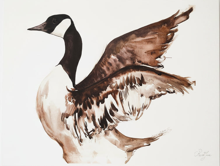 Oiseaux - 8.5 x 11 po - River June