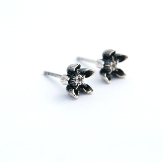 Boucles d'oreilles Asclepias