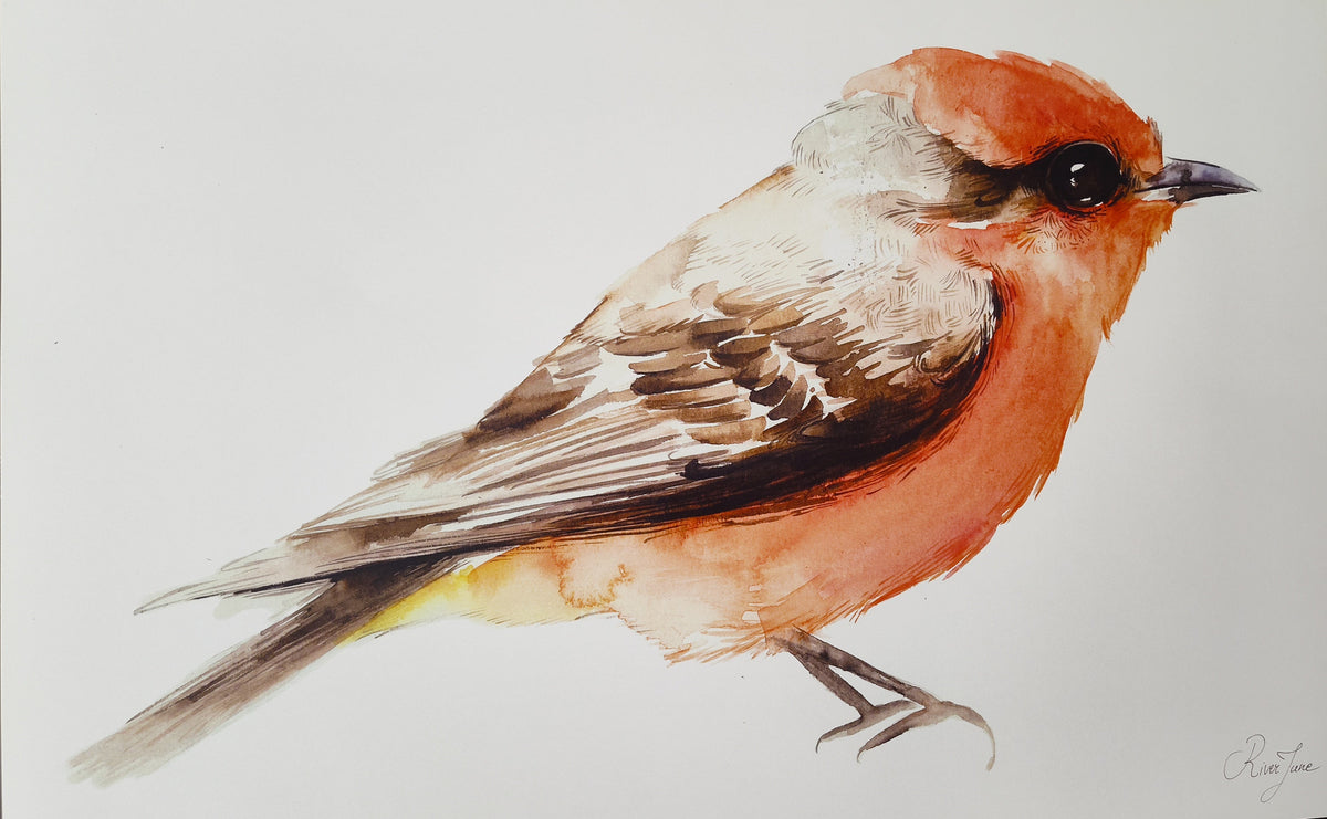 Oiseaux - 8.5 x 11 po - River June