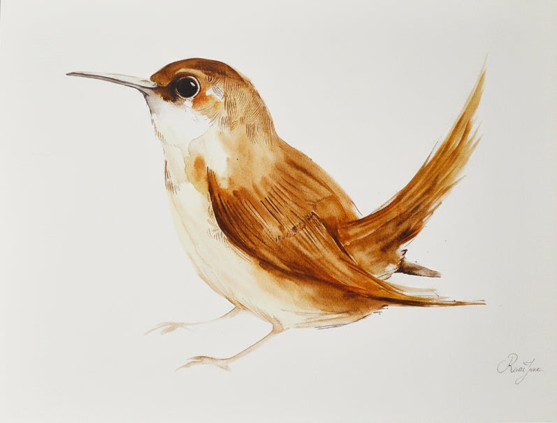 Oiseaux - 8.5 x 11 po - River June