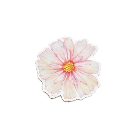 Cosmos