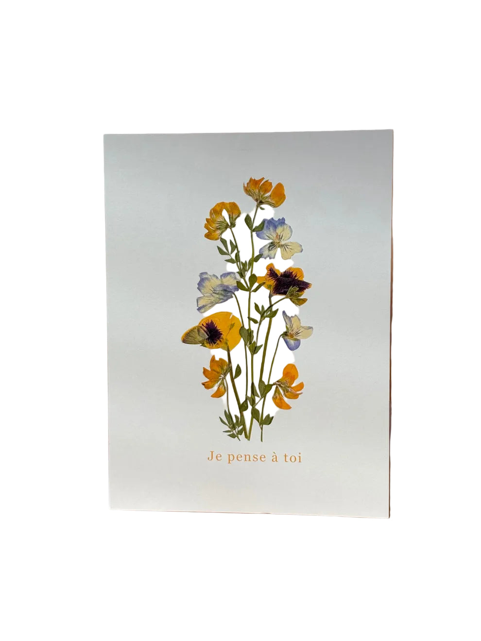 Cartes de souhaits - Nature éphémère