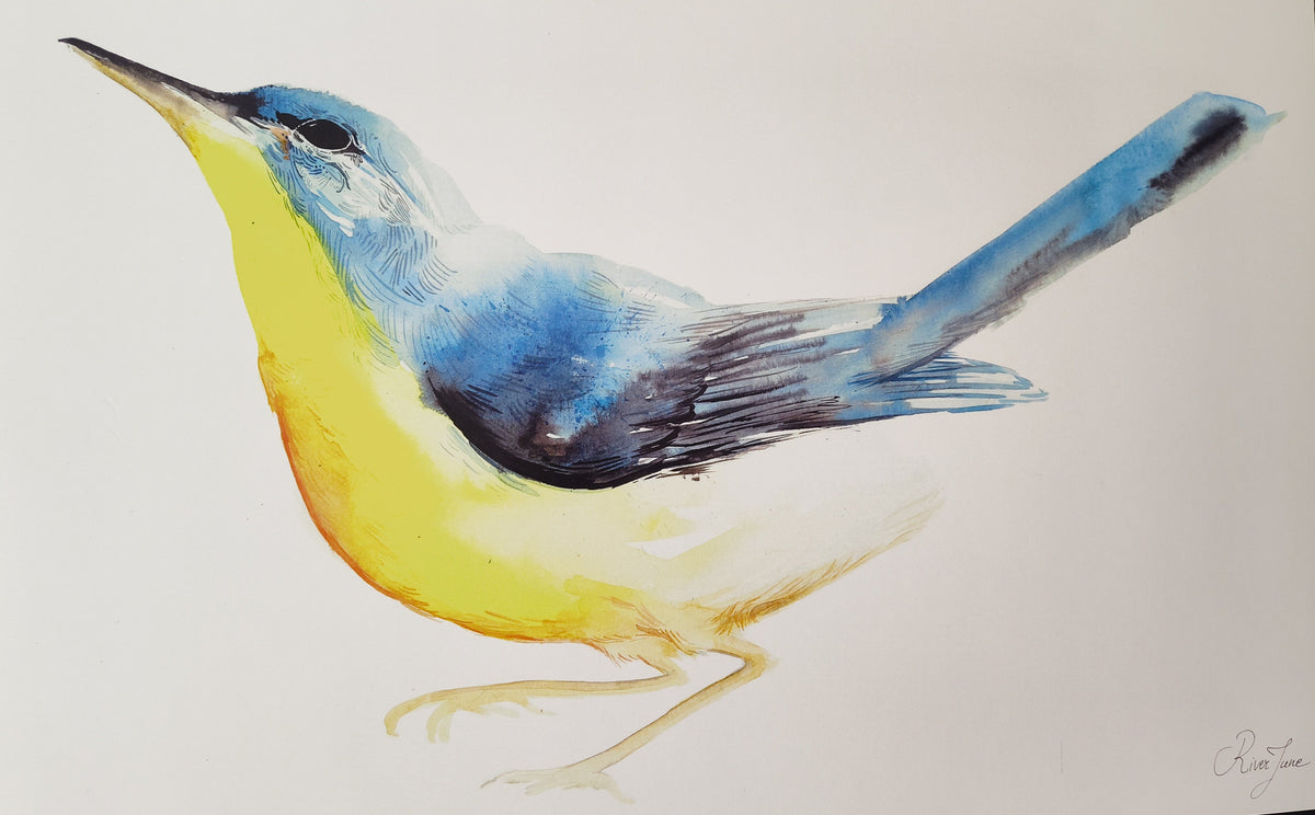 Oiseaux - 8.5 x 11 po - River June