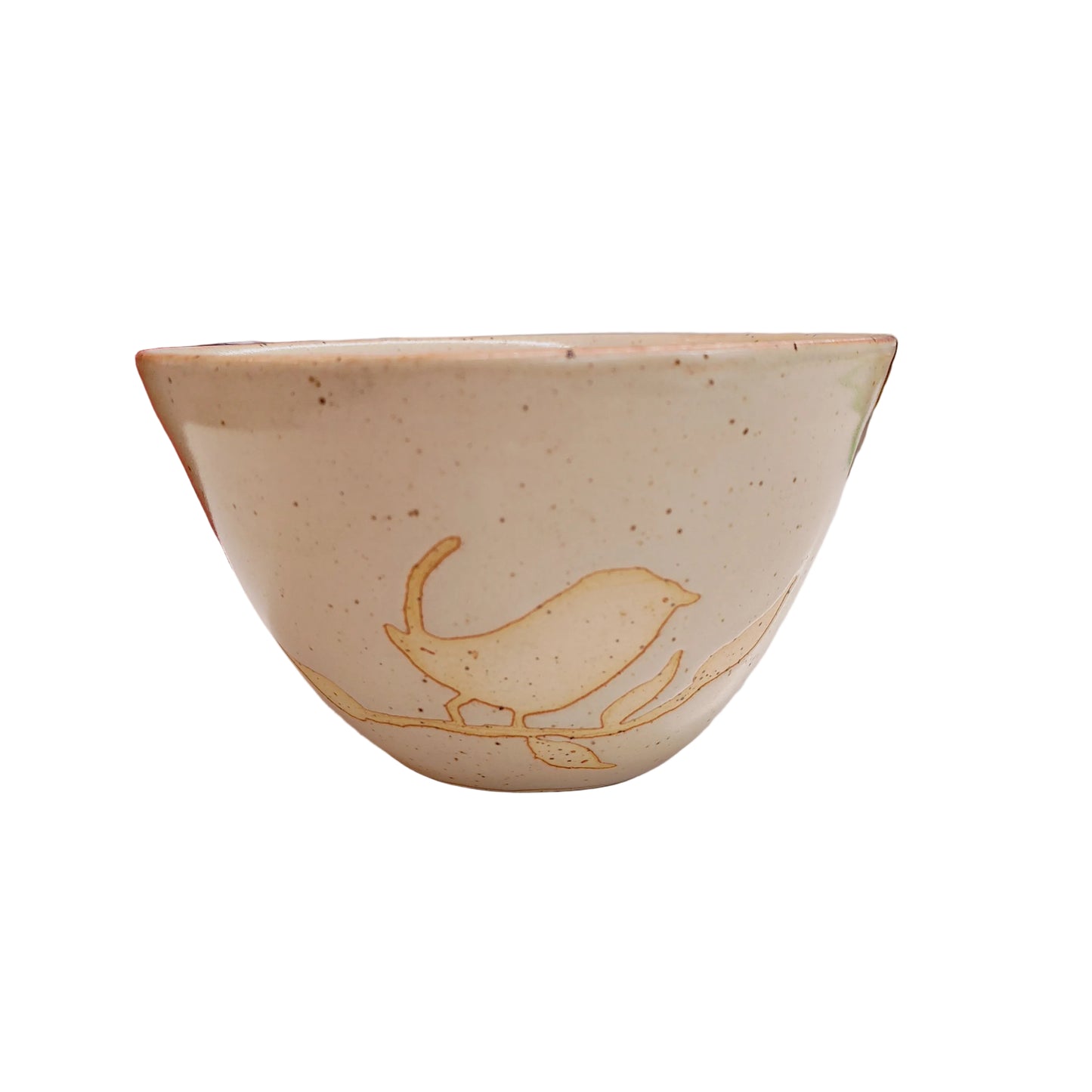 Bol collection oiseaux