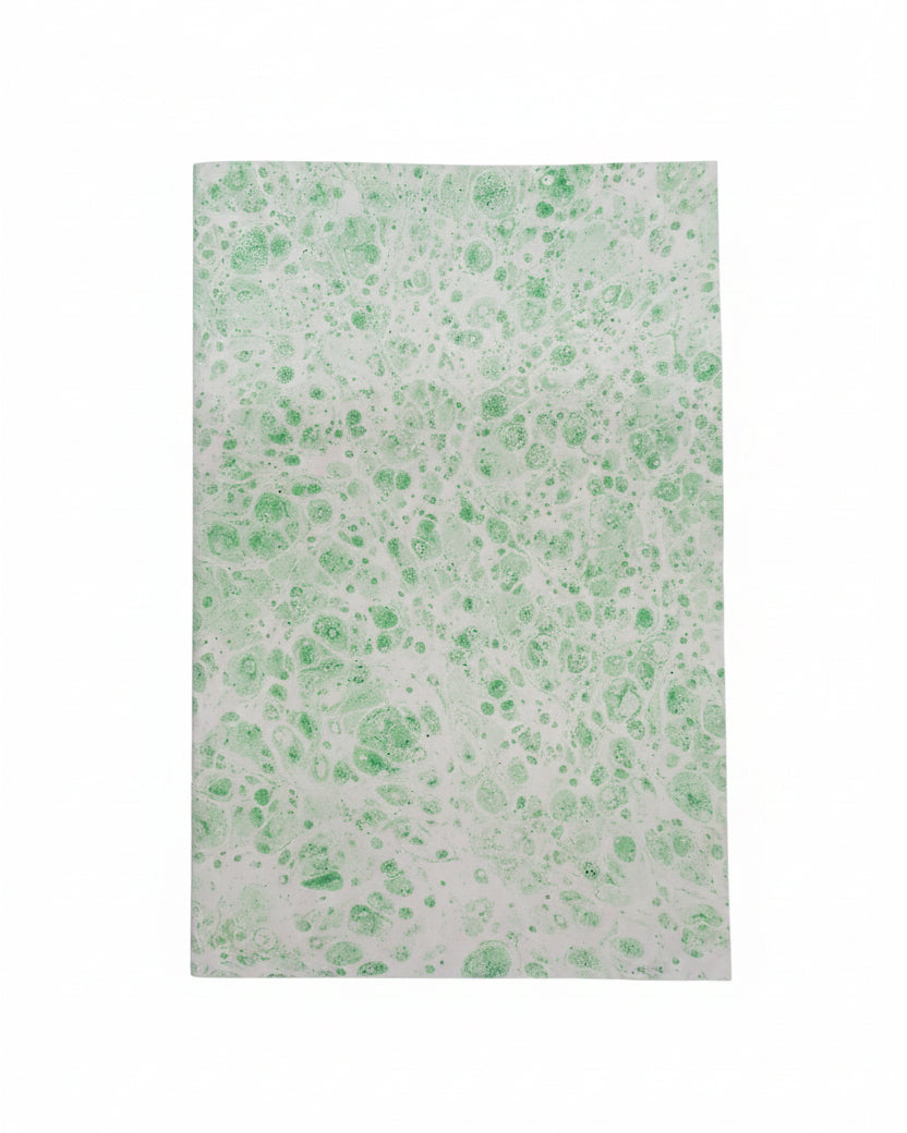 Carnet de notes "Microscopie"