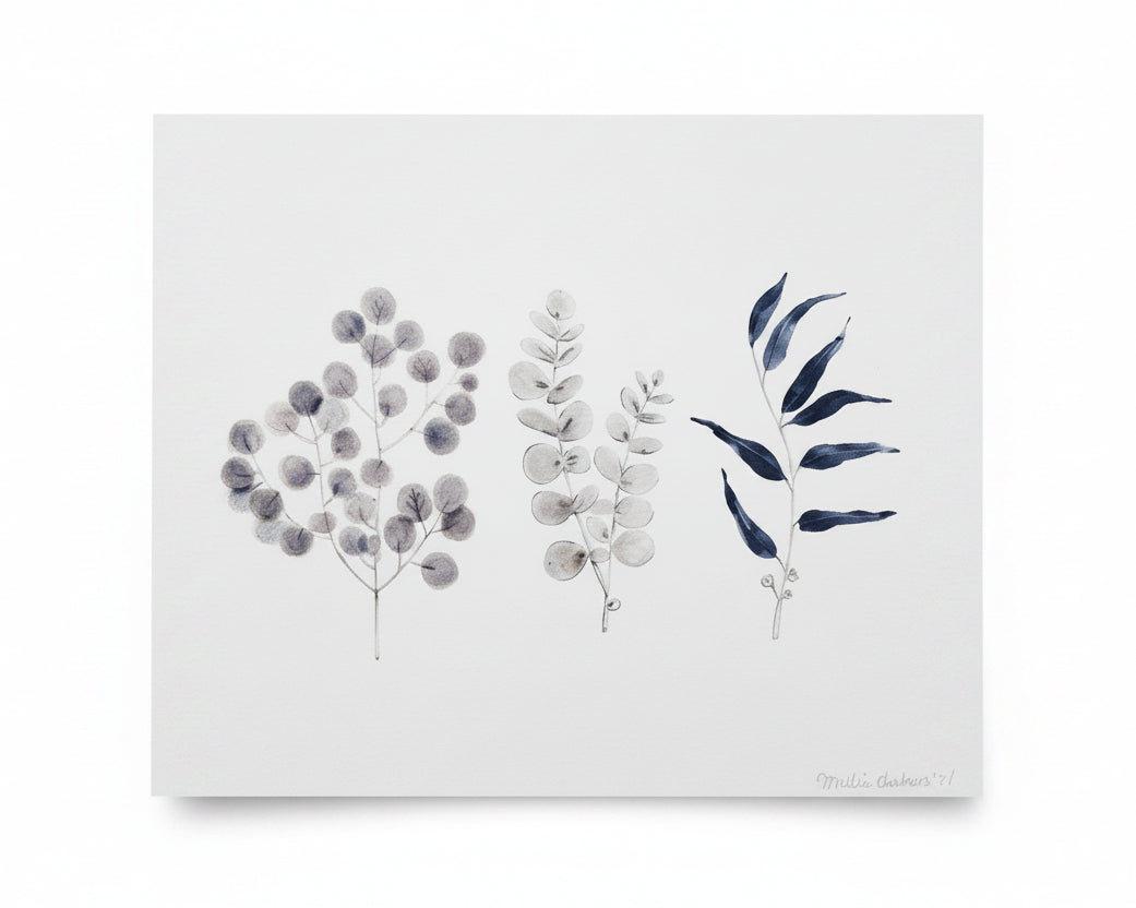 Trio d'arbres