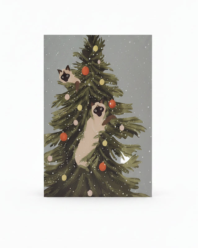 Cartes de Noël - Its funny howww