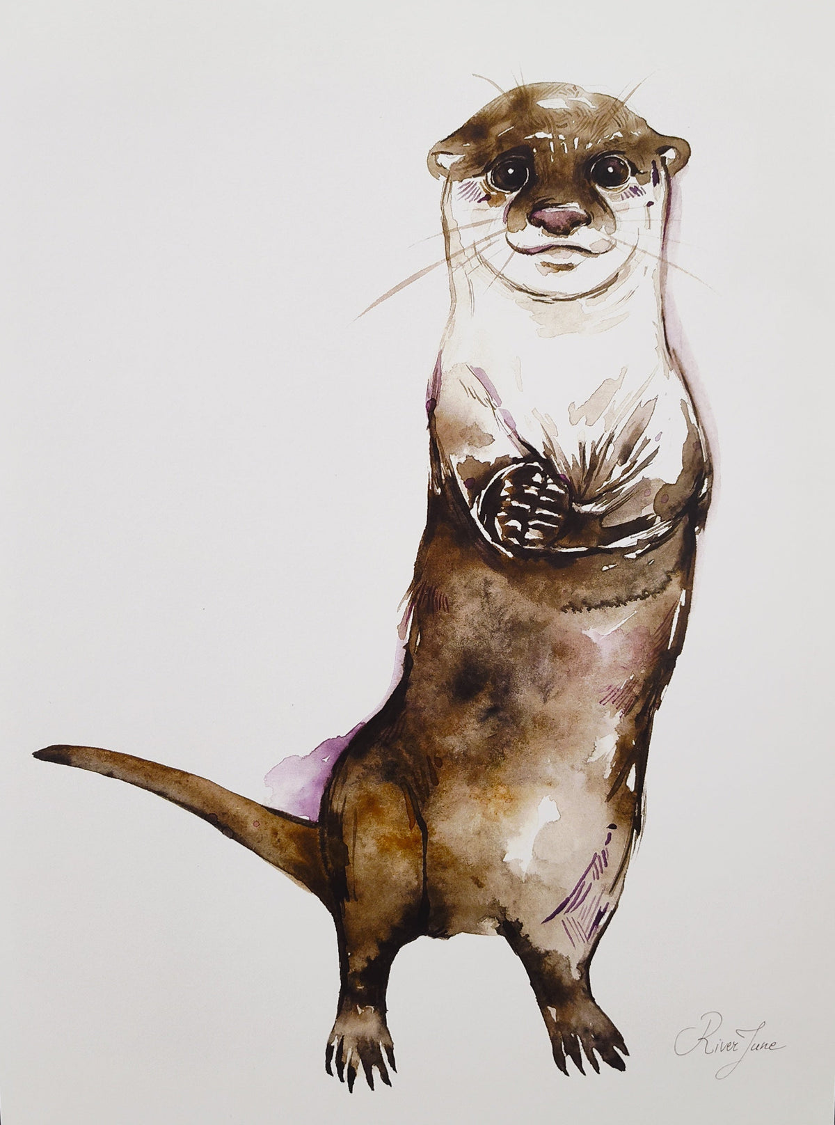 Loutre