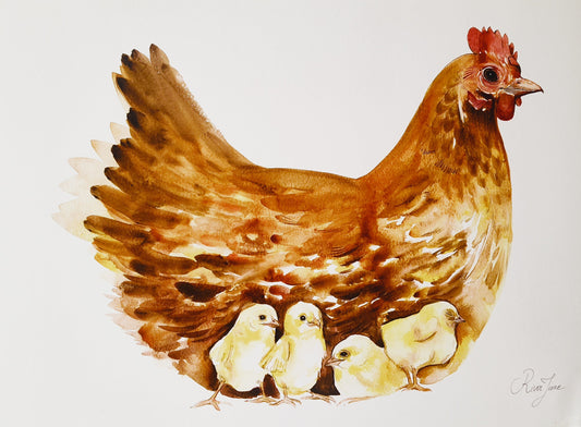 Poule