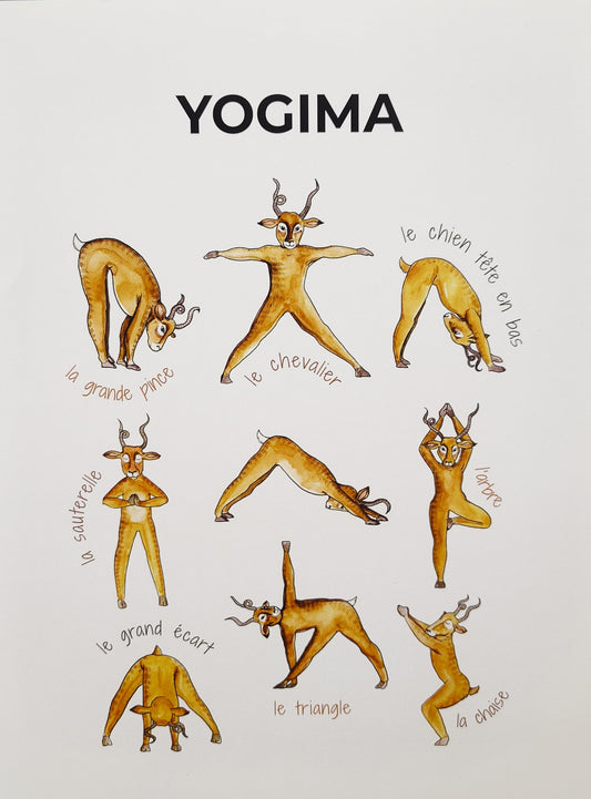 Yogima
