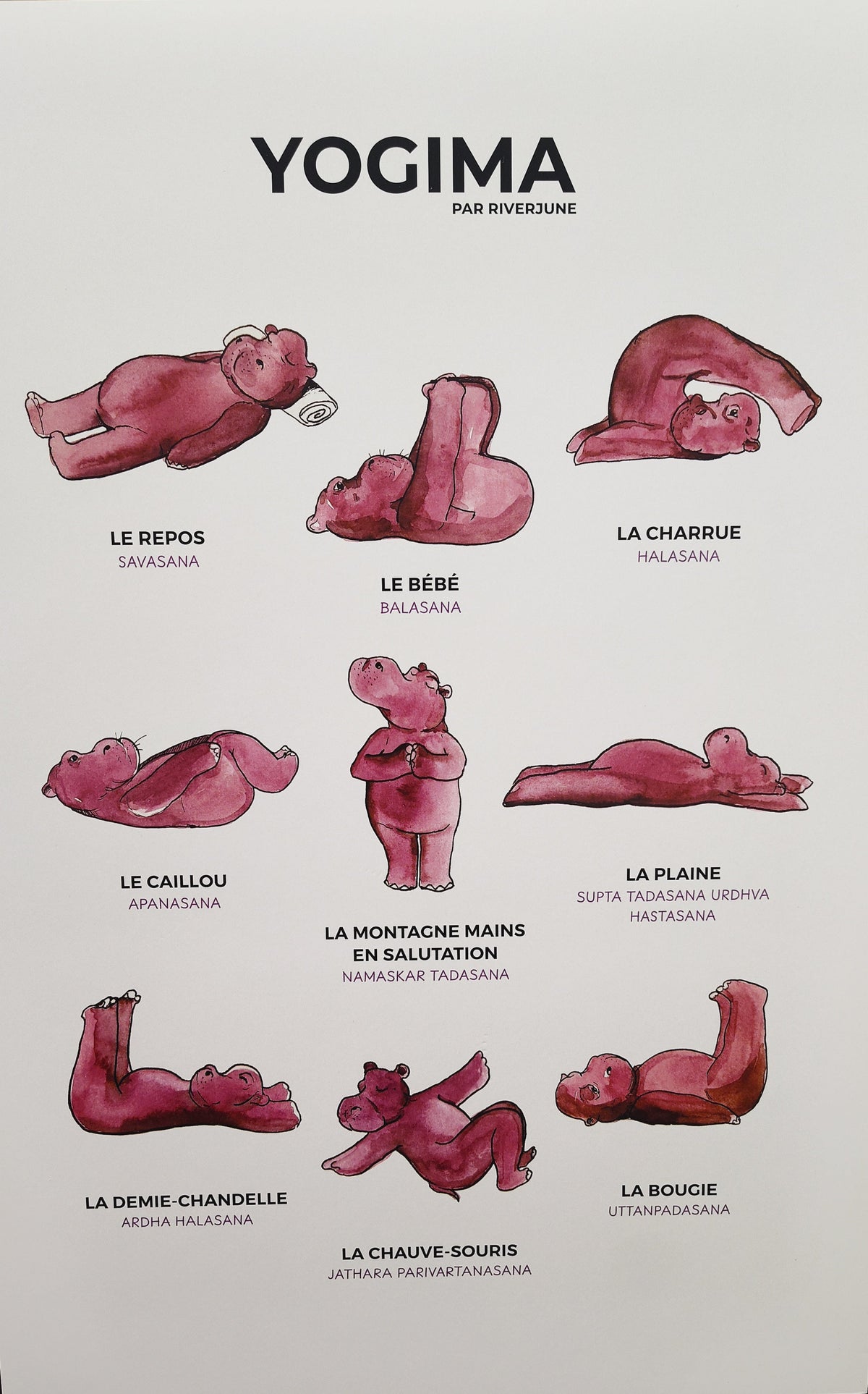 Yogima