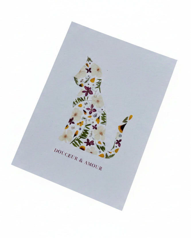 Cartes de souhaits - Nature éphémère