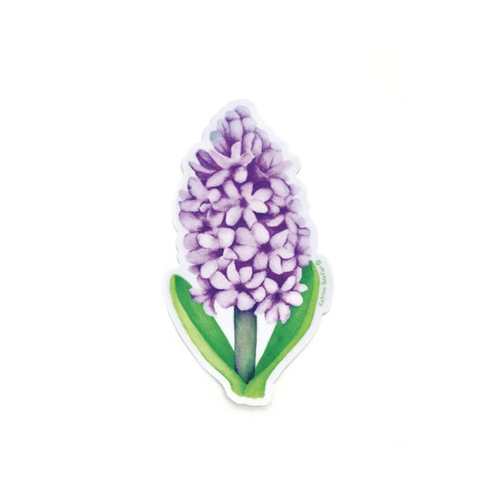 Jacinthe