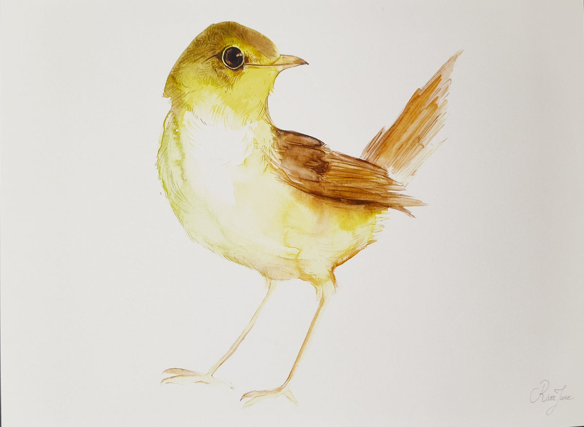 Oiseaux - 8.5 x 11 po - River June