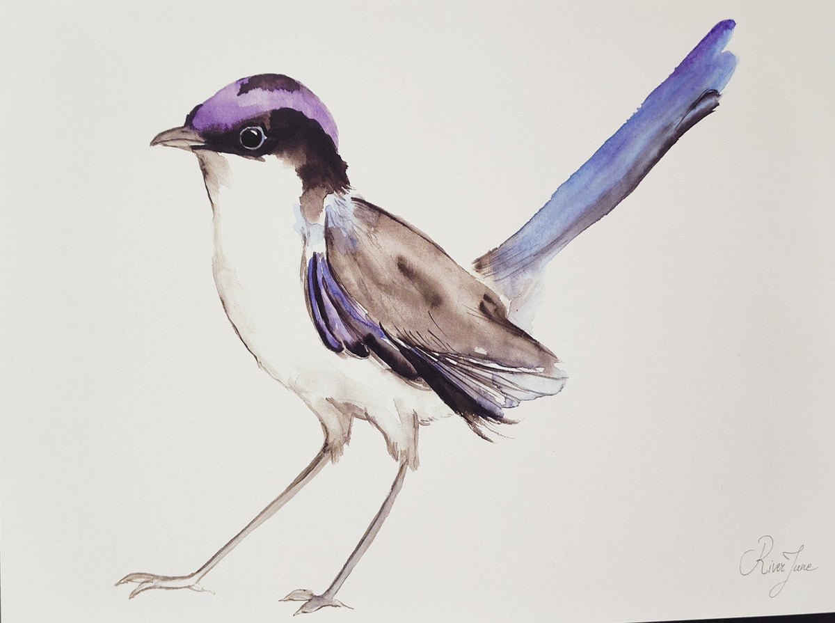 Oiseaux - 8.5 x 11 po - River June